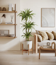 Load image into Gallery viewer, Natural Bamboo stand:bamboo