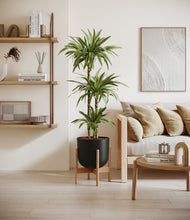 Load image into Gallery viewer, Stone Black stand:bamboo