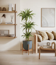 Load image into Gallery viewer, Iron Gray stand:bamboo