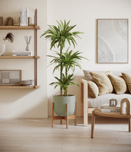 Load image into Gallery viewer, Sage Green stand:bamboo