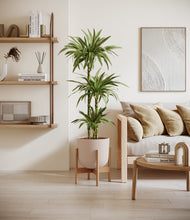 Load image into Gallery viewer, Sandy Pink stand:bamboo