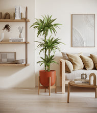 Load image into Gallery viewer, Sunset Orange stand:bamboo