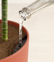 Load image into Gallery viewer, Earth Red stand:all