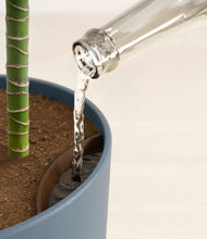 Load image into Gallery viewer, Iron Gray stand:all