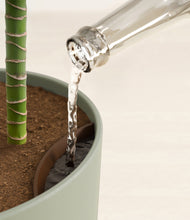 Load image into Gallery viewer, Sage Green stand:all