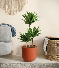 Load image into Gallery viewer, Earth Red