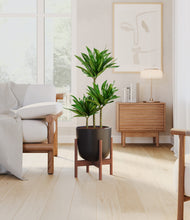 Load image into Gallery viewer, Stone Black stand:walnut