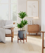 Load image into Gallery viewer, Iron Gray stand:walnut