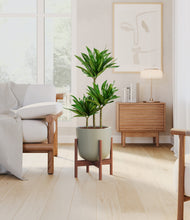 Load image into Gallery viewer, Sage Green stand:walnut