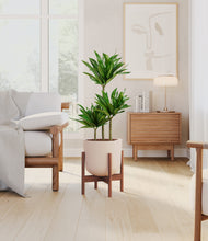 Load image into Gallery viewer, Sandy Pink stand:walnut