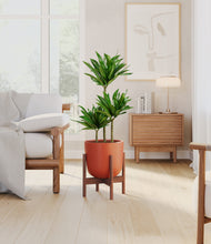 Load image into Gallery viewer, Earth Red stand:walnut