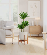 Load image into Gallery viewer, Natural Bamboo stand:bamboo