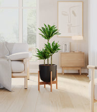 Load image into Gallery viewer, Stone Black stand:bamboo