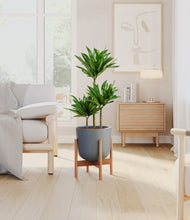 Load image into Gallery viewer, Iron Gray stand:bamboo