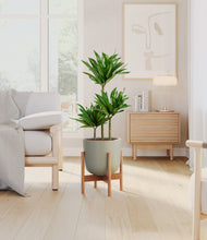 Load image into Gallery viewer, Sage Green stand:bamboo