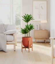 Load image into Gallery viewer, Earth Red stand:bamboo