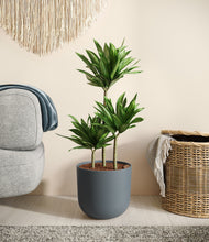 Load image into Gallery viewer, Iron Gray