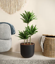 Load image into Gallery viewer, Stone Black