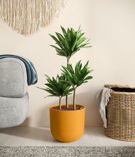 Load image into Gallery viewer, Sunset Orange