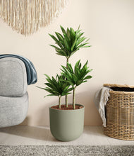 Load image into Gallery viewer, Sage Green