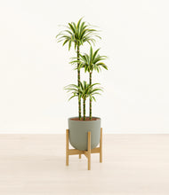 Load image into Gallery viewer, Sage Green stand:bamboo