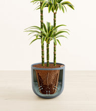 Load image into Gallery viewer, Iron Gray stand:all