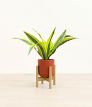 Load image into Gallery viewer, Earth Red stand:bamboo