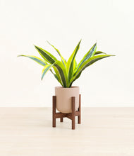 Load image into Gallery viewer, Sandy Pink stand:walnut