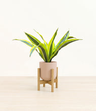 Load image into Gallery viewer, Sandy Pink stand:bamboo