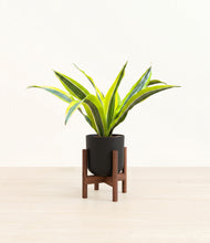 Load image into Gallery viewer, Stone Black stand:walnut