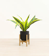 Load image into Gallery viewer, Stone Black stand:bamboo