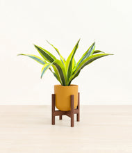 Load image into Gallery viewer, Sunset Orange stand:walnut