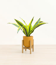 Load image into Gallery viewer, Sunset Orange stand:bamboo