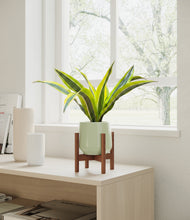 Load image into Gallery viewer, Turquoise stand:walnut