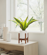 Load image into Gallery viewer, White stand:walnut