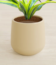 Load image into Gallery viewer, Almond Green stand:all