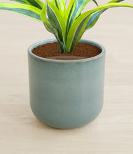 Load image into Gallery viewer, Reactive Aqua stand:all