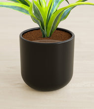 Load image into Gallery viewer, Stone Black stand:all
