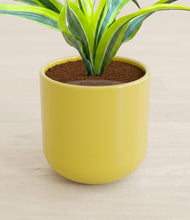 Load image into Gallery viewer, Key Lime Yellow stand:all