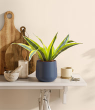 Load image into Gallery viewer, Deep Navy