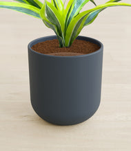 Load image into Gallery viewer, Iron Gray stand:all