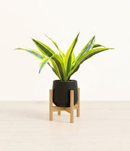 Load image into Gallery viewer, Black stand:bamboo