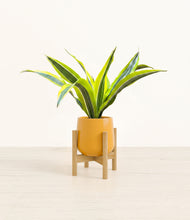 Load image into Gallery viewer, Mustard stand:bamboo
