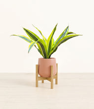 Load image into Gallery viewer, Calm Rose stand:bamboo