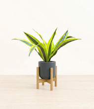 Load image into Gallery viewer, Iron Gray stand:bamboo