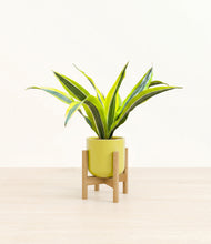 Load image into Gallery viewer, Key Lime Yellow stand:bamboo