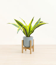 Load image into Gallery viewer, Misty Blue stand:bamboo