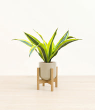Load image into Gallery viewer, Sage Green stand:bamboo