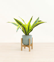 Load image into Gallery viewer, Reactive Aqua stand:bamboo