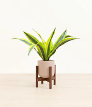 Load image into Gallery viewer, Sandy Pink stand:walnut